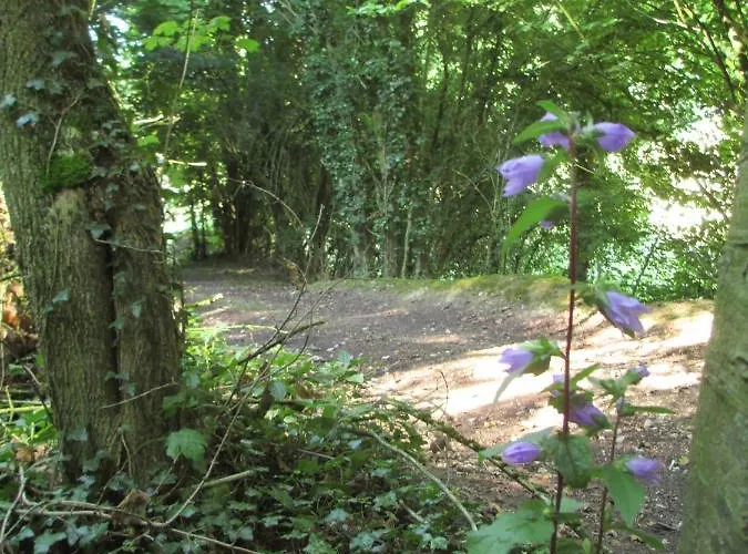 Hotel Abbaye De Belval